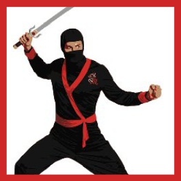 The Fightback Ninja
